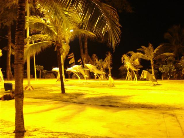 DSC02345 (Small).JPG